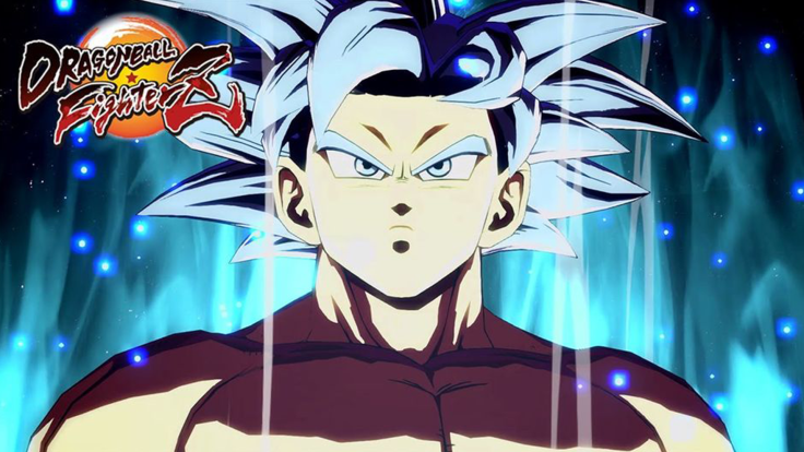 The State of the FGC in 2020 WP 01